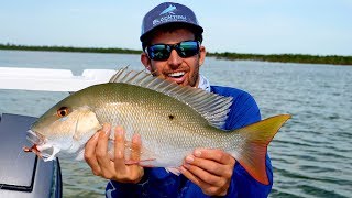 Sight Fishing Mutton Snappers in less than 3ft of Water  4K