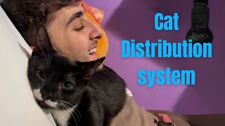The Cat Distribution System CHOOSE Me!