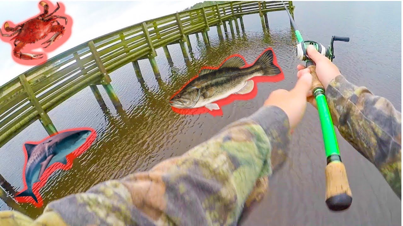 Catching LARGEMOUTH BASS In SALT WATER 2019?.. 