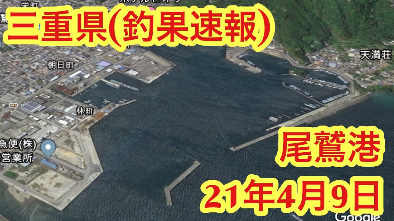 三重県釣り 釣果速報 キス タコ 尾鷲港 21年4月9日 Youtube 三重県釣り 釣果速報 キス タコ 尾鷲港 21年4月9日 Youtube