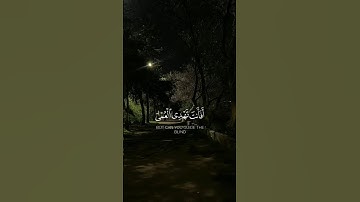أفأنت تهدي العمى ولو كانوا لا يبصرون #سورة_يونس #عبدالرحمن_مسعد #قرآن #تلاوة #صوت_الخشوع