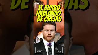 🔥CANELO ALVAREZ BRUTAL CONTRA MAYWEATHER #boxeo