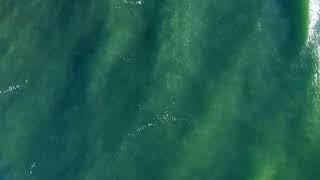 [4k] Green Calm Ocean Wave Background Video Loop | No Sound 5min