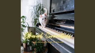 Echoes of Pet Harmony: Piano's Bonding Melodic Tunes