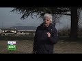 REGOLE DEL GOLF "alzare palla senza poterla pulire: quarta situazione"