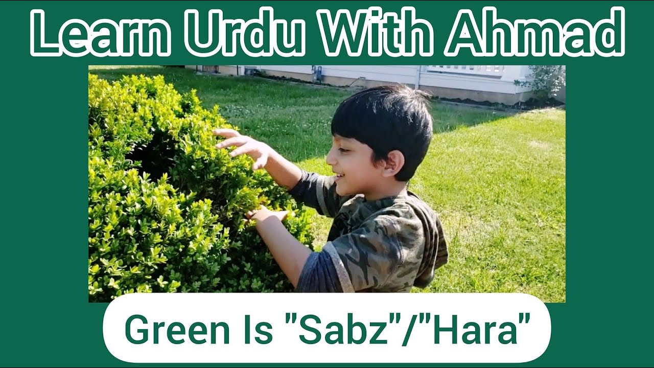 GREEN in Urdu is SABZ/HARA Learn Urdu With Ahmad Fun & Learning