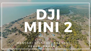 Mencari Keindahan Negeri Pahang_ Nenasi, Pekan Pahang