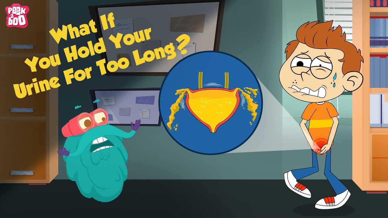 What If You Hold Your Urine For Too Long? | How Urinary System Works? | The Dr Binocs Show For Kids