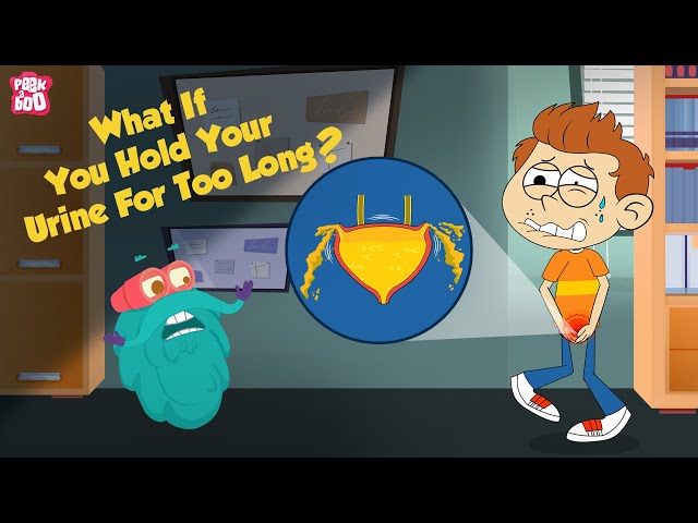 What If You Hold Your Urine For Too Long? | How Urinary System Works? | The Dr Binocs Show For Kids class=