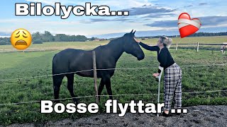 STALLVLOGG || Mycket har hänt…