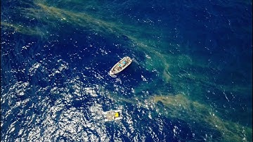 Studying the Sea Surface Microlayer 2 - Wrap Up Video - FK191120