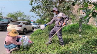 HUE city apartment complex surprised when grass growing on the opposite sidewalk was cleared