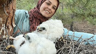 Ormanda Atmacalar İle