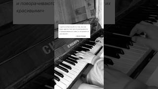 #rumination - baandit! Музыка для созерцания природы 🌸 #pianomusic #pianosolo
