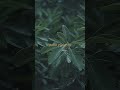 قل إني أخاف إن عصيت ربي عذاب يوم عظيم تحميل التلاوة من الرابط في التعليقات قل إني أخاف إن عصيت ربي عذاب يوم عظيم تحميل التلاوة من الرابط في التعليقات