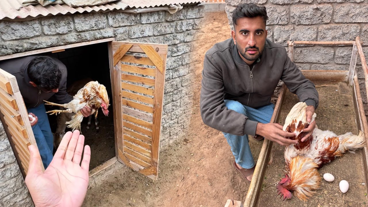 Ab Es Ko Kia Hogea Achank😰