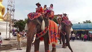 บุญกฐิน...วัดอัมพวัน บ้านหินโคน ต.หินโคน อ.ลำปลายมาศ จ.บุรีรัมย์แห่ด้วยช้าง 9 เชือก