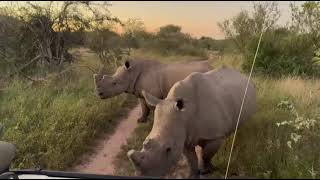 More of Lula and Khulula