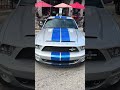 This car is so tuff #gt500 #mustang