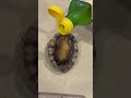 tomikkunet funny crazy seafood video😂😂😂|Tiktok the Best!! #shorts #TikTok