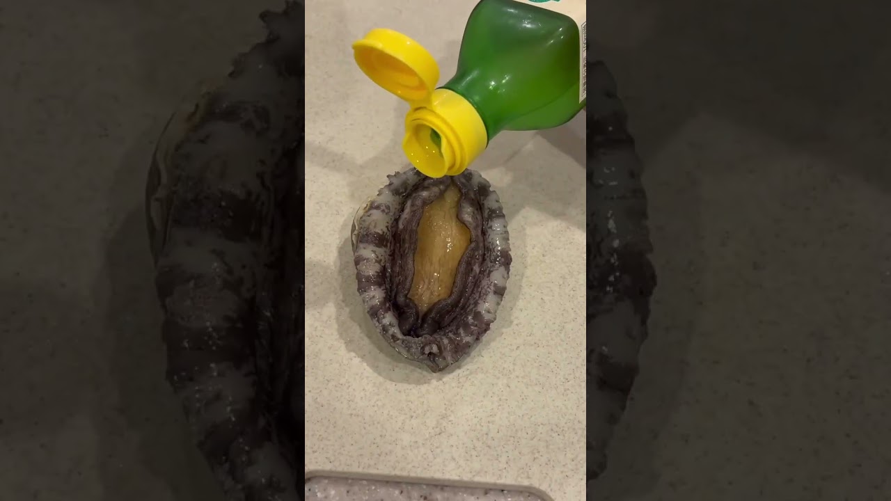 tomikkunet funny crazy seafood video😂😂😂|Tiktok the Best!! #shorts #TikTok