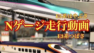 [Nゲージ]E5系新幹線はやぶさ＆E32000系つばさ走行シーン