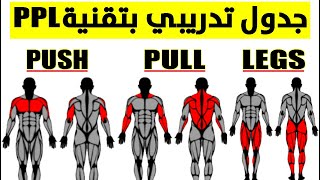 أقوى برنامج Push Pull Legs لفرقعة عضلاتك بسرعة البرق