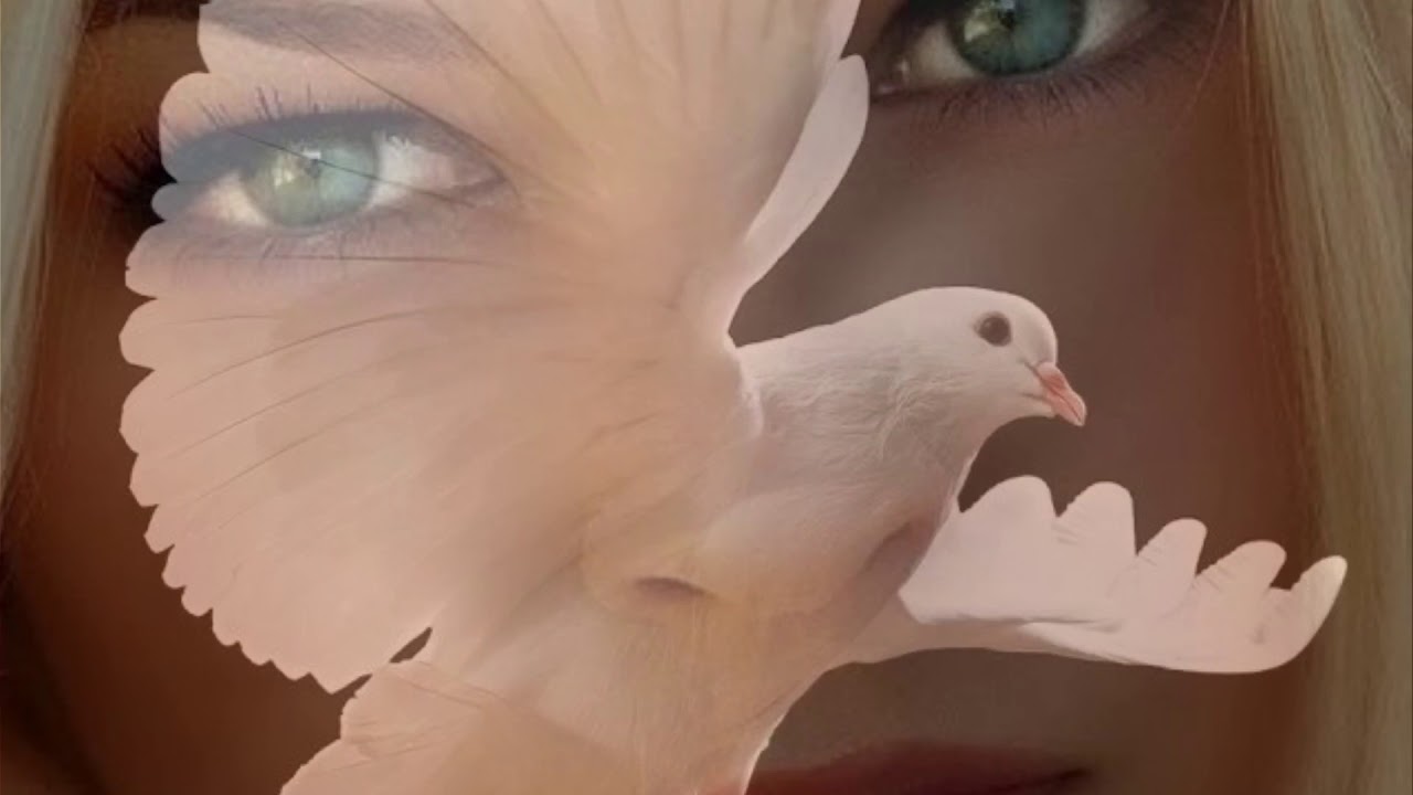 Dolce Paola Salvatore Adamo YouTube