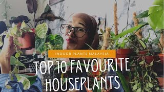 My Top Favourite Indoor Houseplants March 2021 For Indoor Plants Malaysia | Top 10 Favourite Plants