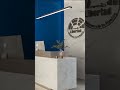 Diseño interior renovación de recepción de Emisora Radial #vrayrender #interiordesigner #emisoras