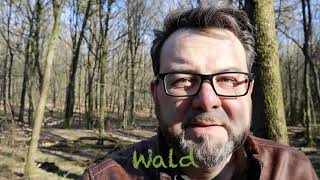 Botanik Für Die Krise - Frühjahrsgeophyten