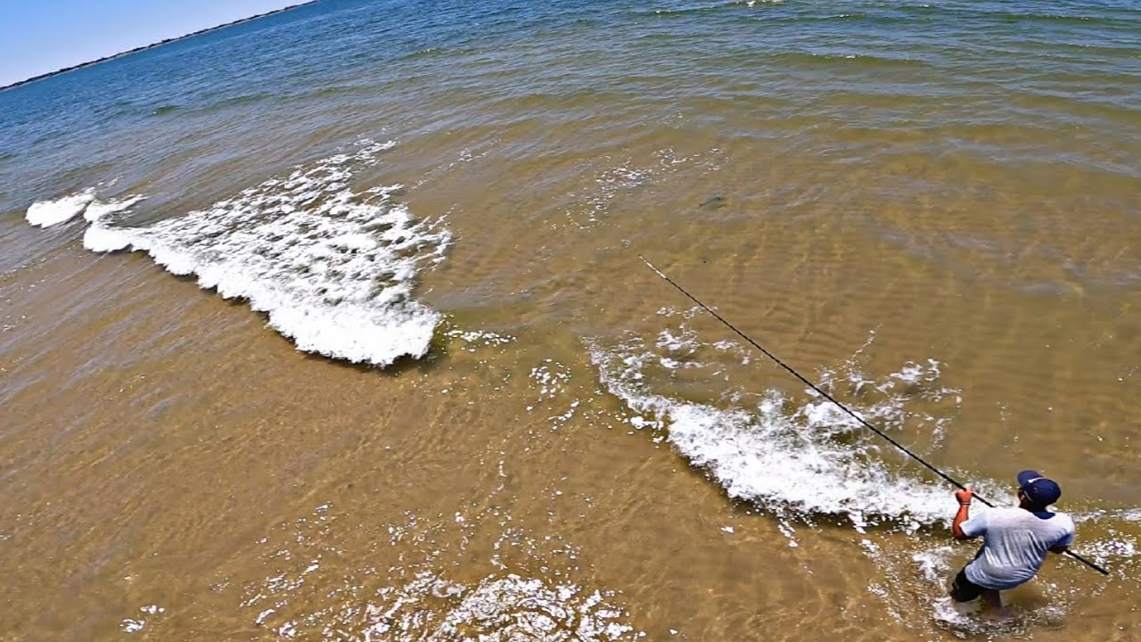 SURFCASTING EN BUSCA DE DORADAS, VIENE LA ELITE A PESCAR CONMIGO