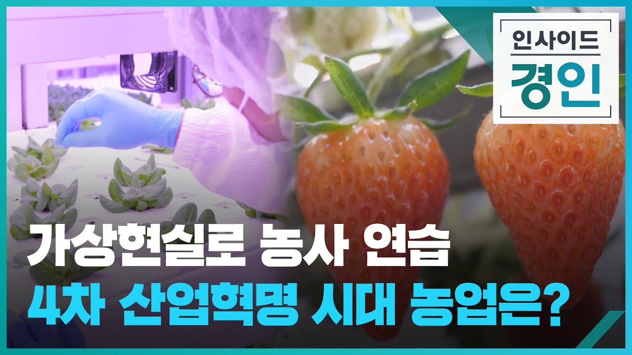가상현실로 농사 연습...4차 산업혁명 시대 농업은? [인사이드 경인] / KBS 2023.06.08. - YouTube