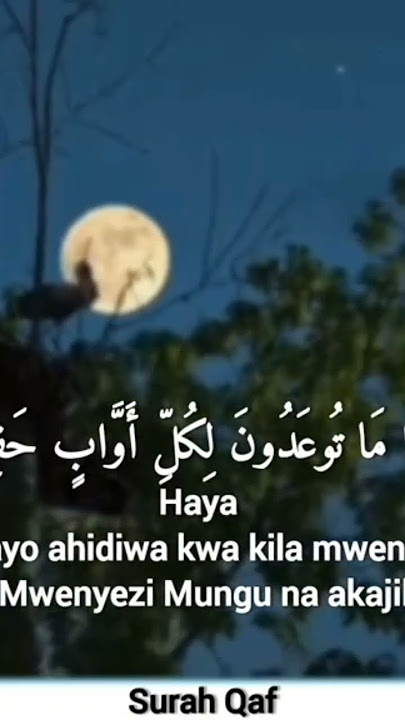 subscribe_for_more_beautful_qurhan #alreelsシ #sikitu #dunia #asmafilms #kiparabrand #chadomasta