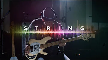 Ernie Ball: String Theory featuring Mike Herrera of MxPx