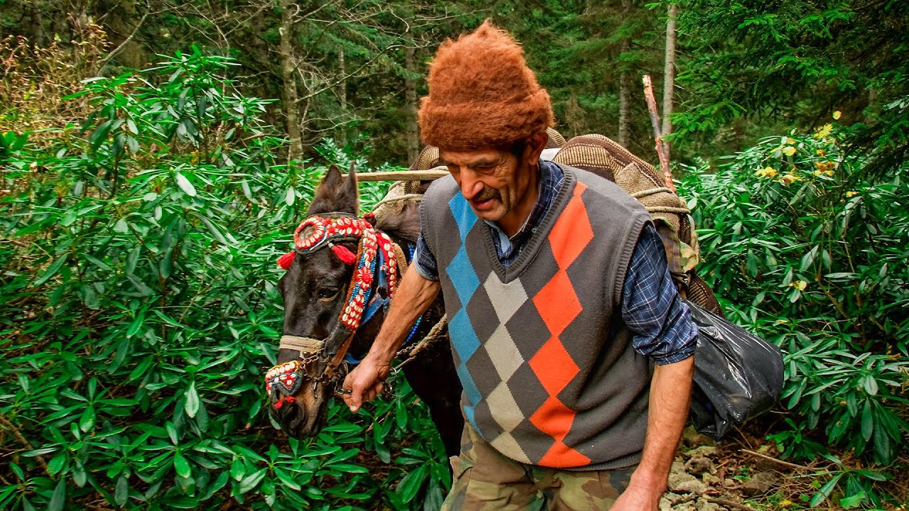 Возвращение из «Кызылагач» (Ольха) – Осенняя миграция леса | Документальный фильм