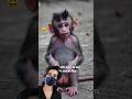 Monkey mom Great Baby So Happy ❤️