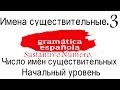 Испанский язык. Образование множественного числа имён существительных.Базовый уровень.