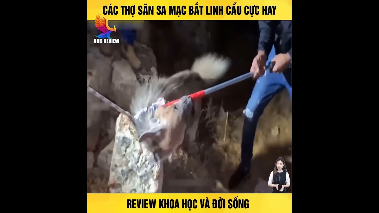 Thợ săn Linh Cẩu