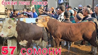 видео: 24 октября 2025 Г.МОЛБОЗОРИ ХИСТЕВАРЗ Ш ХУЧАНД ТОЖИКИСТОН MOLBOZOR BOZOR  картинка: 24 октября 2025 Г.МОЛБОЗОРИ ХИСТЕВАРЗ Ш ХУЧАНД ТОЖИКИСТОН MOLBOZOR BOZOR