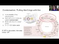 The Citric Acid Cycle