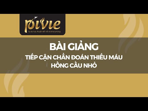 Bệnh Thiếu Máu Hồng Cầu Nhỏ Là Gì - Tiếp cận chẩn đoán Thiếu máu hồng cầu nhỏ [Phan Trúc]