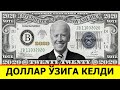 УКРАИНА САБАБ УЧИБ КЕТГАН КУШЛАР КАЙТМОКДА