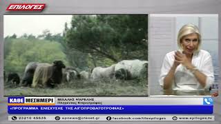 ΜΙΧΑΛΗΣ ΨΑΡΕΛΗΣ: «ΠΡΟΓΡΑΜΜΑ  ΕΝΙΣΧΥΣΗΣ  ΤΗΣ ΑΙΓΟΠΡΟΒΑΤΟΤΡΟΦΙΑΣ»