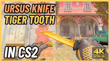 ★ CS2 Ursus Knife Tiger Tooth | CS2 Knife In-Game Showcase [4K]