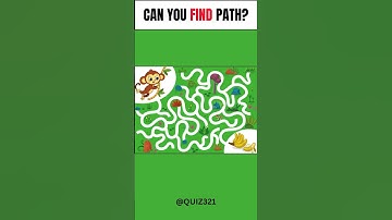 Smart Puzzle Maze FUN Level 4 #QUIZ321