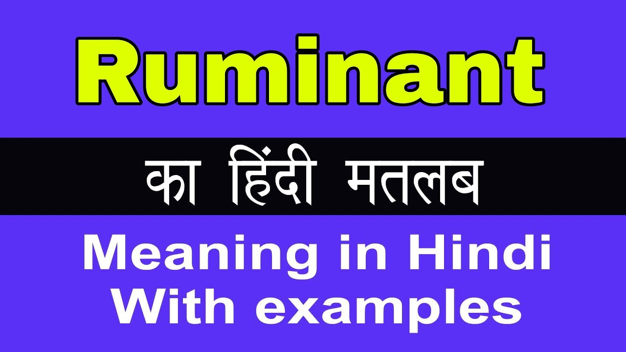 Ruminant Meaning in Hindi/Ruminant का अर्थ या मतलब क्या होता है YouTube