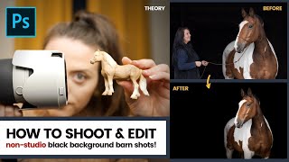 The How-To of Black Background Horse Photography (No Lights Required!) | Theory + Full Edit