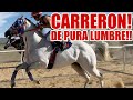 CARRERON DE PURA LUMBRE!!