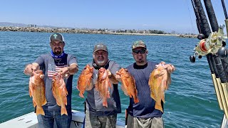 First Time Rockcod Fishing In Santa Monica Bay - Funny Moments